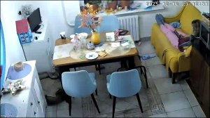 Caméra IP - Russian Federation