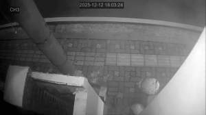 Caméra IP - South Korea