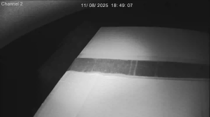 Caméra IP - Vereinigte Staaten von Amerika