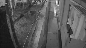 Caméra IP - Trinidad and Tobago