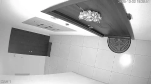 Caméra IP - Ucrania