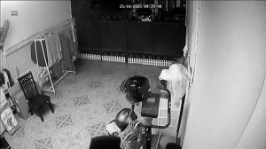 Caméra IP - Thailandia