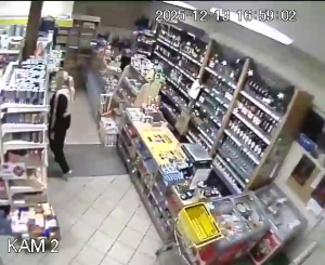 Caméra IP - Polonia