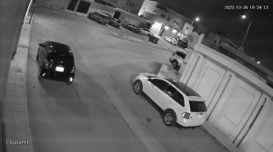 Caméra IP - Saudi Arabia