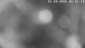 Caméra IP - Australia