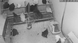 Caméra IP - Schweden