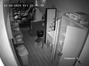 Caméra IP - Stati Uniti d'America