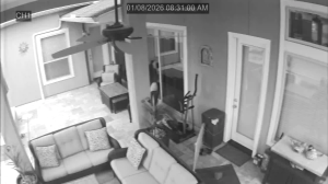 Caméra IP - Vereinigte Staaten von Amerika