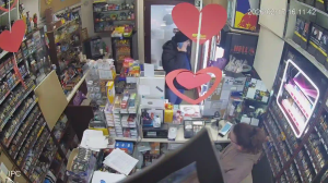 Caméra IP - Hungary