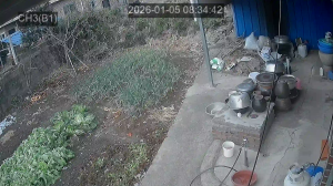 Caméra IP - Corée du Sud