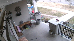 Caméra IP - Stati Uniti d'America