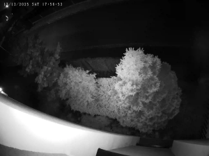 Caméra IP - Czech Republic