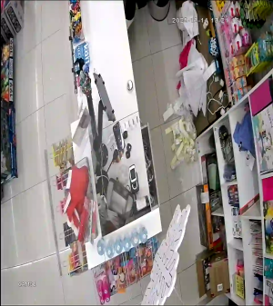 Caméra IP - Russische Föderation