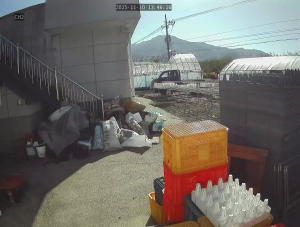 Caméra IP - South Korea