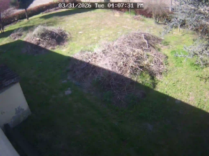 Caméra IP - United States of America