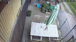 Caméra IP - Belgique