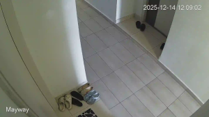 Caméra IP - Malaysia