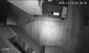 Caméra IP - Portugal