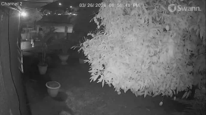 Caméra IP - Trinidad e Tobago