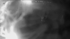 Caméra IP - Alemania