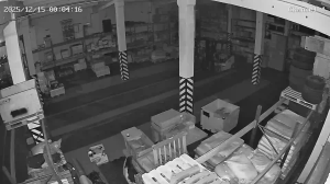 Caméra IP - Russian Federation