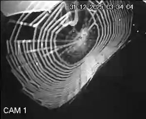 Caméra IP - United Kingdom