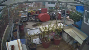 Caméra IP - Corée du Sud