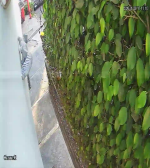 Caméra IP - México