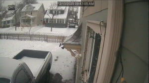 Caméra IP - Estados Unidos