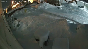 Caméra IP - Russische Föderation