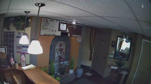 Caméra IP - United States of America