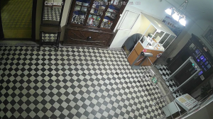 Caméra IP - Netherlands