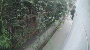 Caméra IP - Georgia