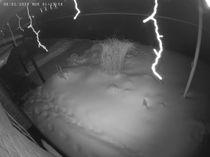 Caméra IP - Lithuania