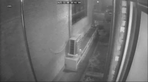 Caméra IP - South Korea