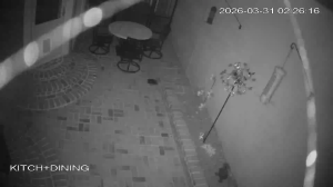 Caméra IP - Estados Unidos