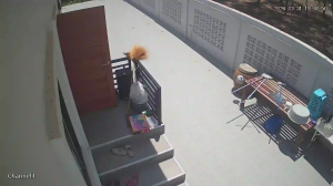 Caméra IP - Thailand