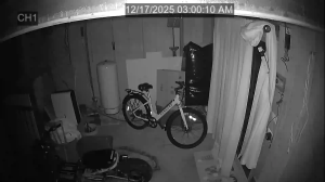 Caméra IP - Stati Uniti d'America