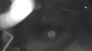 Caméra IP - Pays-Bas