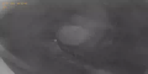 Caméra IP - Bulgarien