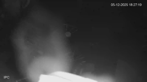 Caméra IP - Südafrika