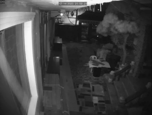 Caméra IP - South Korea