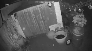 Caméra IP - Vereinigtes Königreich