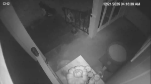 Caméra IP - United States of America