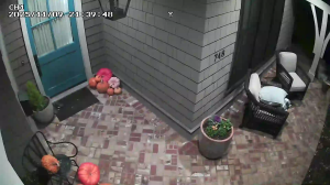 Caméra IP - United States of America