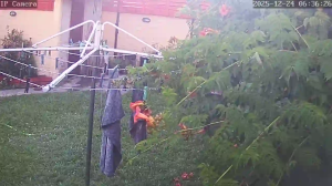 Caméra IP - Argentina