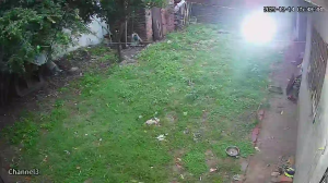 Caméra IP - Bolivia