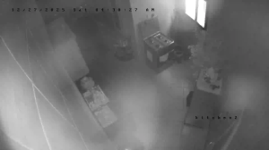 Caméra IP - Émirats Arabes Unis