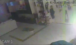 Caméra IP - Italien