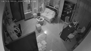 Caméra IP - Georgia